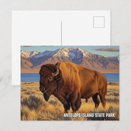 Bison in Antelope Island State Park Utah Briefkaart (Voorkant / Achterkant)