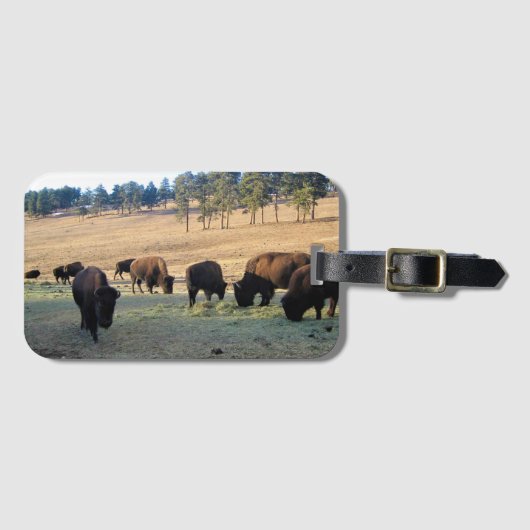 Bison in Colorado Bagagelabel (Voorkant (horizontaal))
