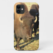 Bison in Colorado Case-Mate iPhone Case (Achterkant)