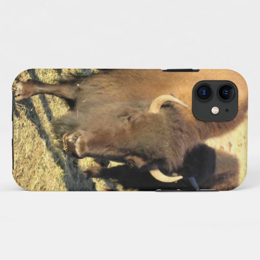 Bison in Colorado Case-Mate iPhone Case (Achterkant (horizontaal))