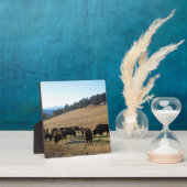 Bison in Colorado Fotoplaat (Insitu)