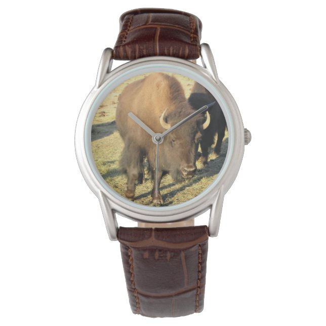 Bison in Colorado Horloge (Voorkant)