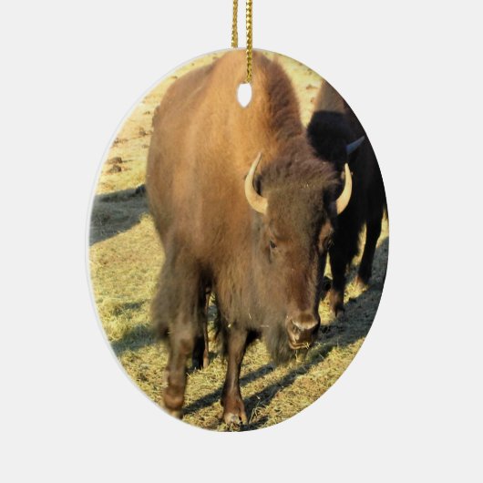 Bison in Colorado Keramisch Ornament (Rechts)