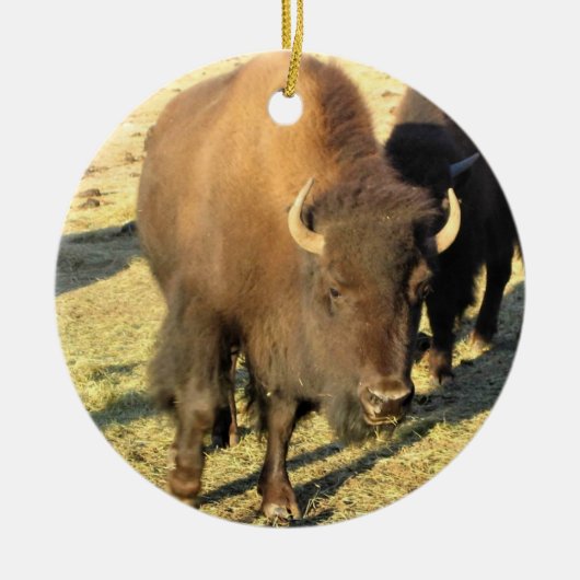Bison in Colorado Keramisch Ornament (Voorkant)