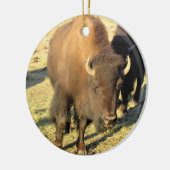 Bison in Colorado Keramisch Ornament (Links)