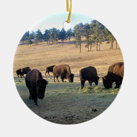 Bison in Colorado Keramisch Ornament (Voorkant)