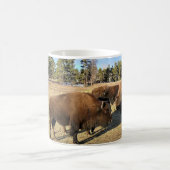 Bison in Colorado Koffiemok (Center)