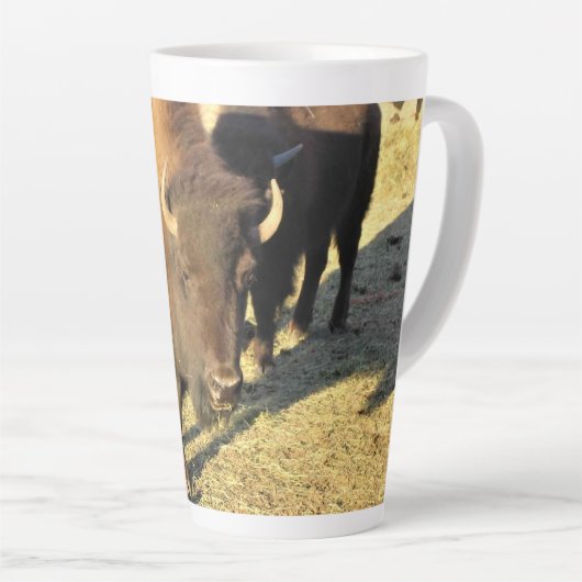Bison in Colorado Latte Mok (Rechterhoek)