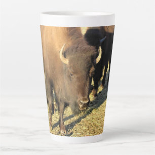 Bison in Colorado Latte Mok