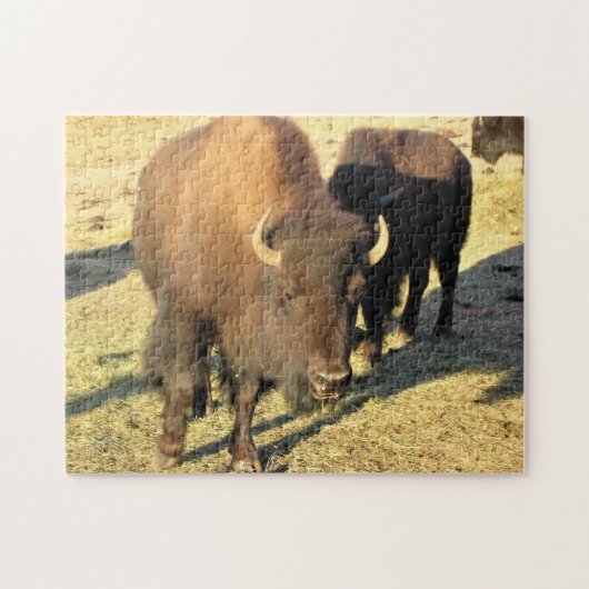 Bison in Colorado Legpuzzel (Horizontaal)