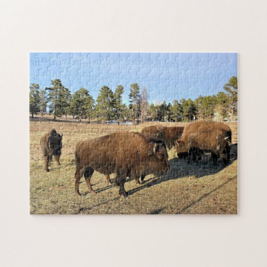 Bison in Colorado Legpuzzel (Horizontaal)