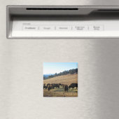 Bison in Colorado Magneet (Insitu (Vaatwasser))