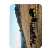 Bison in Colorado Magneet (Verticaal)