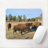 Bison in Colorado Muismat (Met muis)