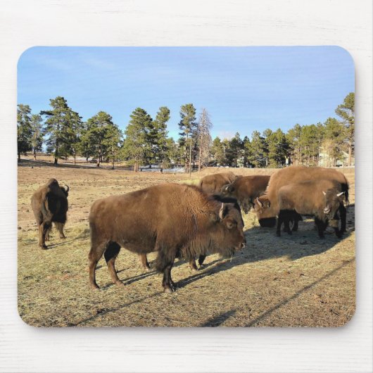 Bison in Colorado Muismat (Voorkant)