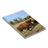 Bison in Colorado Notitieboek (Rechterzijde)
