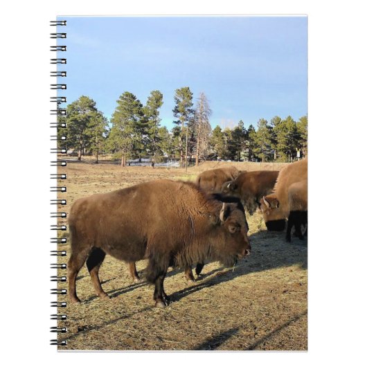 Bison in Colorado Notitieboek (Voorkant)