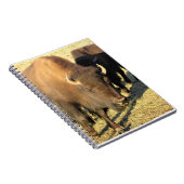 Bison in Colorado Notitieboek (Rechterzijde)