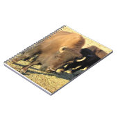 Bison in Colorado Notitieboek (Linkerzijde)