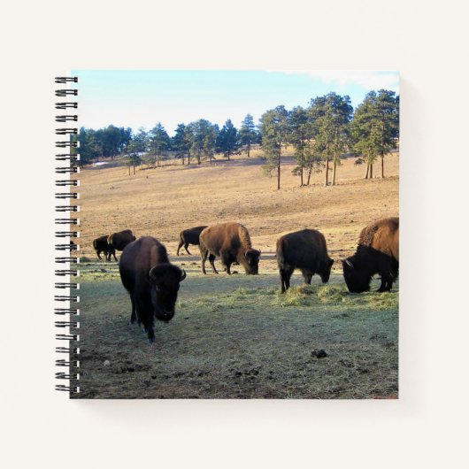 Bison in Colorado Notitieboek (Voorkant)