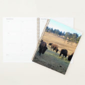 Bison in Colorado Planner (Display)
