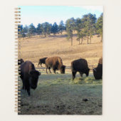 Bison in Colorado Planner (Voorkant)