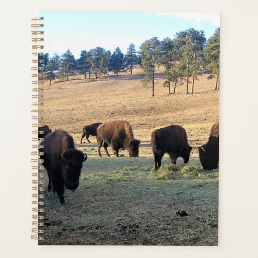 Bison in Colorado Planner (Voorkant)