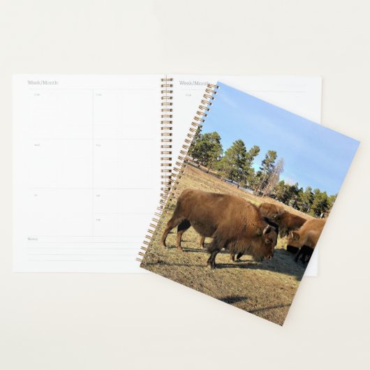 Bison in Colorado Planner (Display)