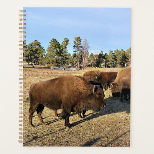 Bison in Colorado Planner (Voorkant)