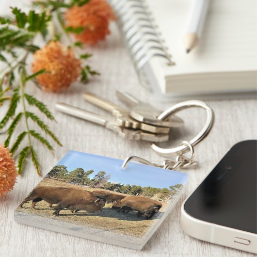 Bison in Colorado Sleutelhanger (Voorkant Rechts)