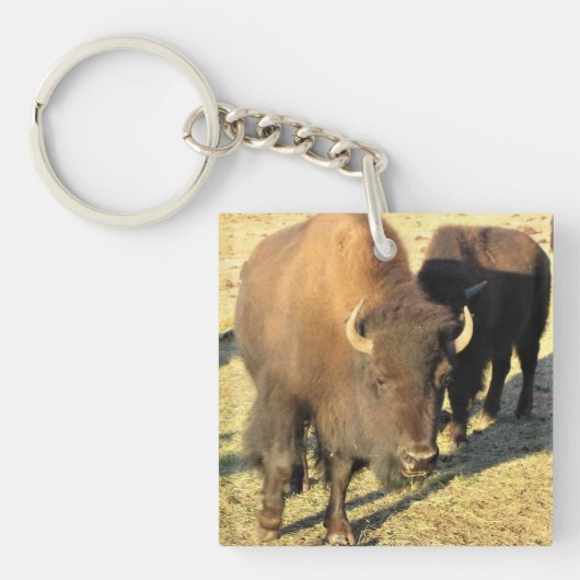 Bison in Colorado Sleutelhanger (voorkant)