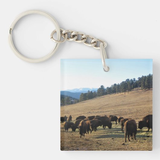 Bison in Colorado Sleutelhanger (voorkant)