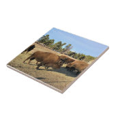 Bison in Colorado Tegeltje (Zijkant)