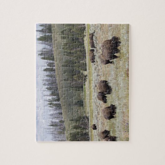 Bison in de Hayden-vallei van Yellowstone Legpuzzel (Verticaal)