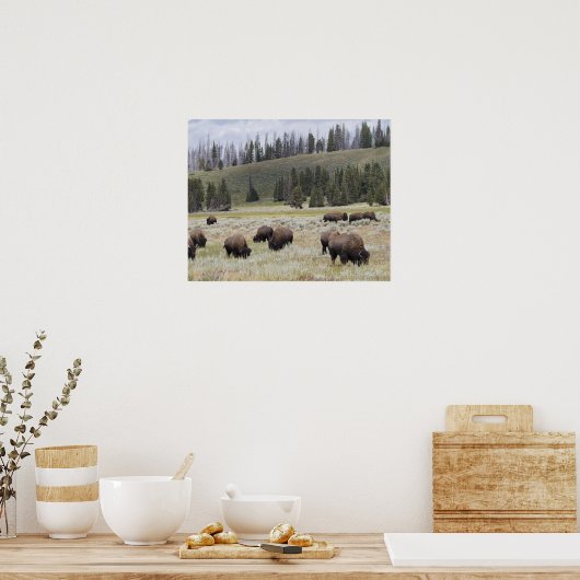 Bison in de Hayden-vallei van Yellowstone Poster (Keuken)
