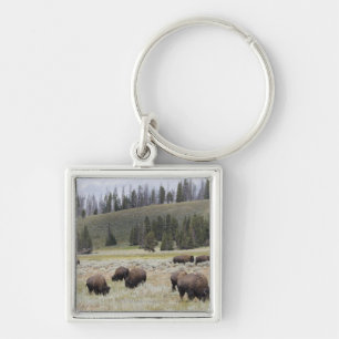 Bison in de Hayden-vallei van Yellowstone Sleutelhanger