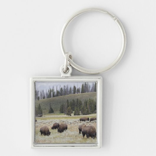 Bison in de Hayden-vallei van Yellowstone Sleutelhanger (Voorkant)