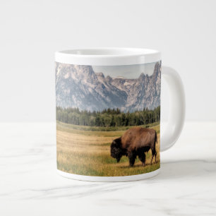 Bison in de Tetons Grote Koffiekop