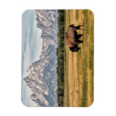 Bison in de Tetons Magneet (Verticaal)