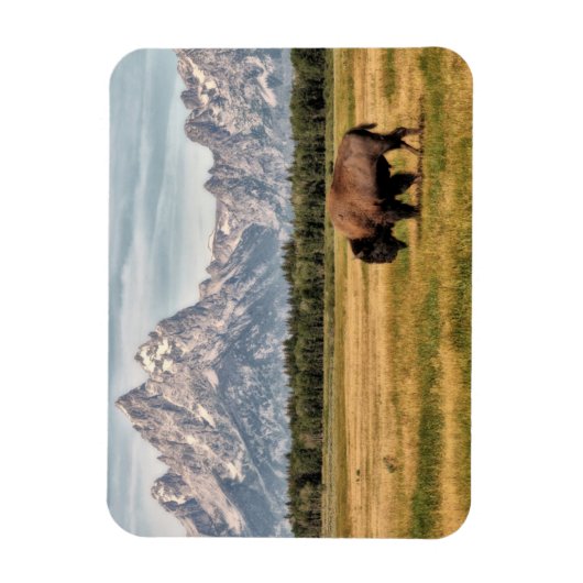 Bison in de Tetons Magneet (Verticaal)