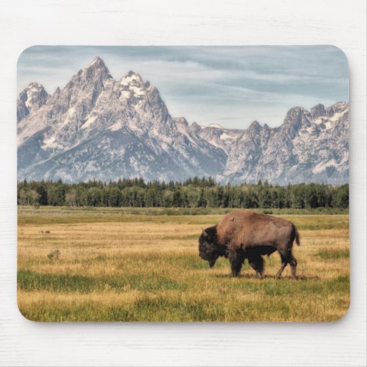 Bison in de Tetons Muismat (Voorkant)