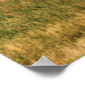 Bison in de Tetons Poster (Hoek)