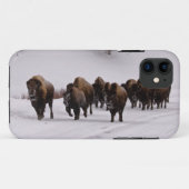 Bison in de winter Case-Mate iPhone case (Achterkant (horizontaal))
