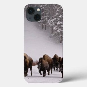 Bison in de winter Case-Mate iPhone case