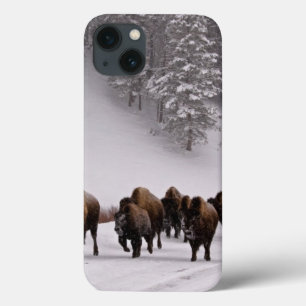 Bison in de winter Case-Mate iPhone case