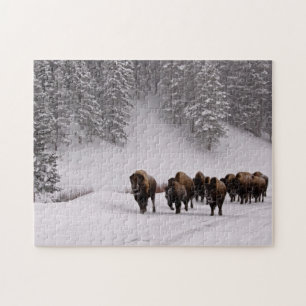 Bison in de winter legpuzzel