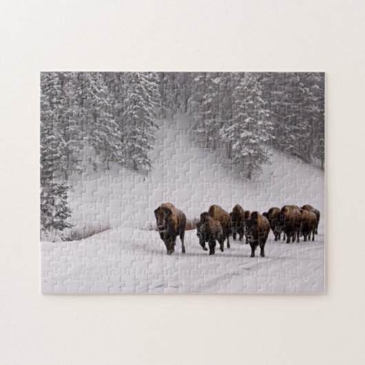 Bison in de winter legpuzzel (Horizontaal)