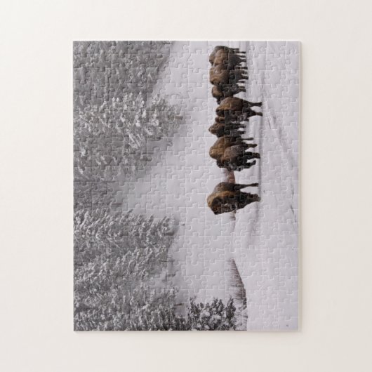 Bison in de winter legpuzzel (Verticaal)