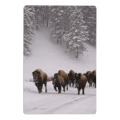 Bison in de winter mini klembord (Achterkant)