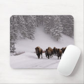 Bison in de winter muismat (Met muis)